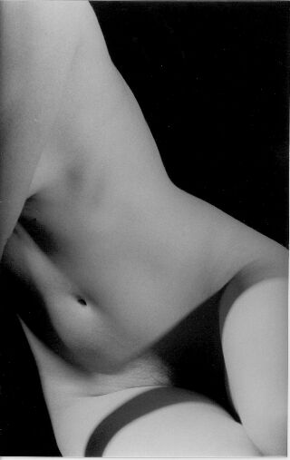 torso