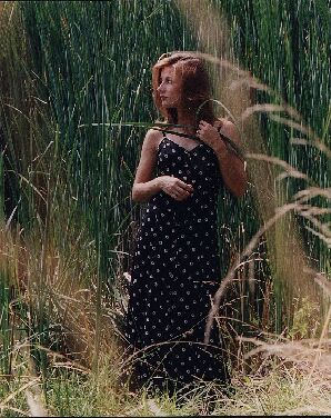 cattails