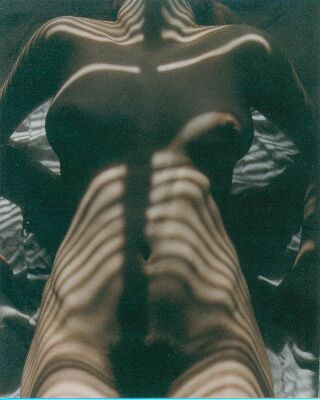 Morning Light